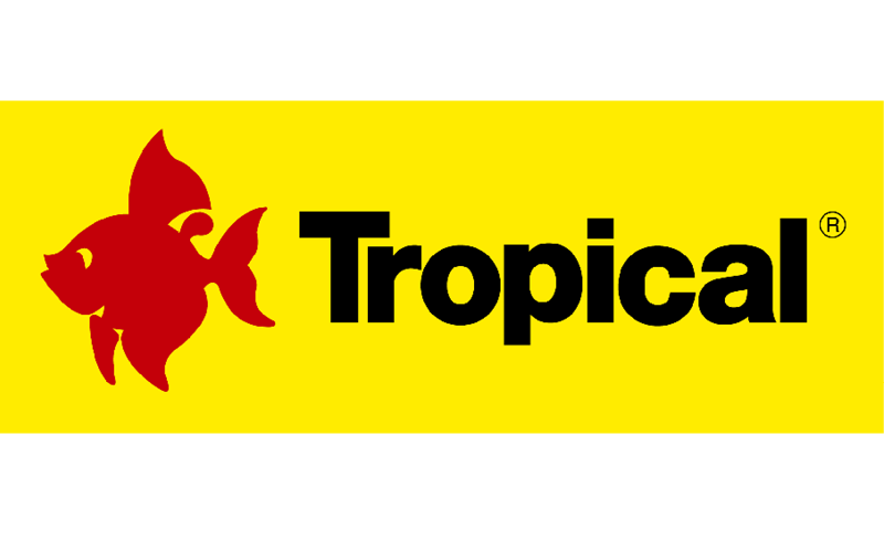 PNP_strona_www_logo_tropical